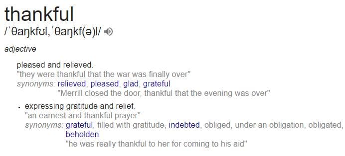 definition of being thankful according to google