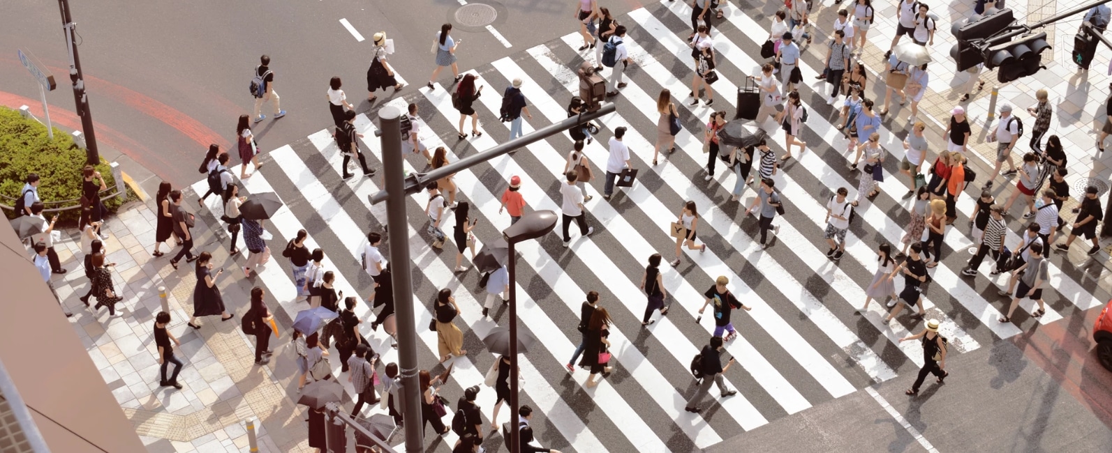 does everybody deserve to be happy crosswalk