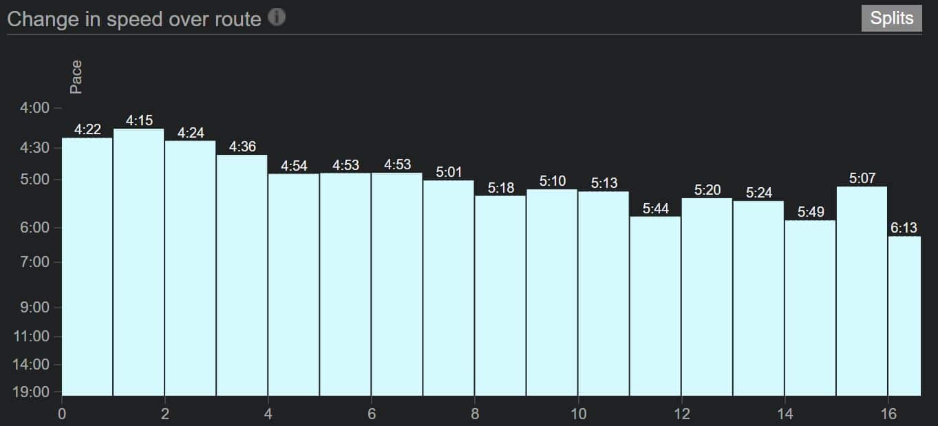 first 10 mile race running happiness essay