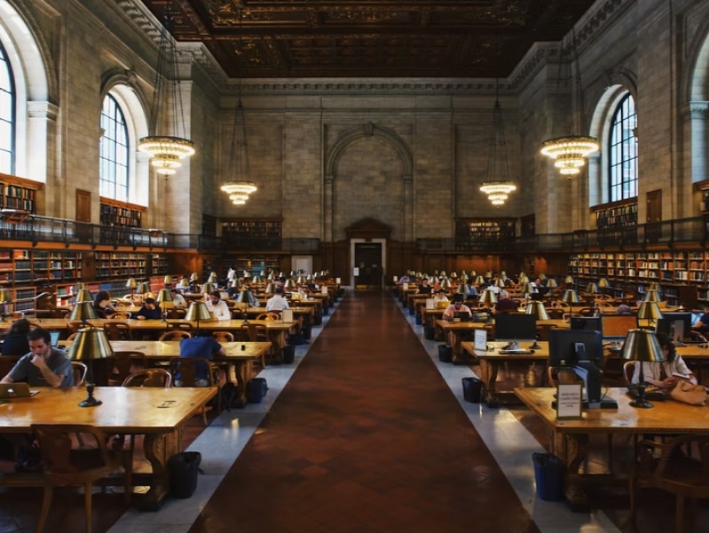 people studying in library