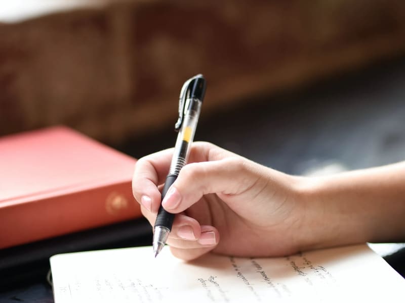 person writing a journal