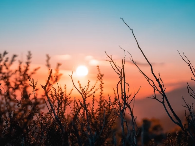 sunrise with blue sky